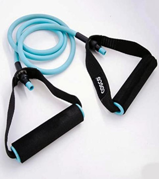 Exercise & Fitness›Strength Training Equipment›Resistance