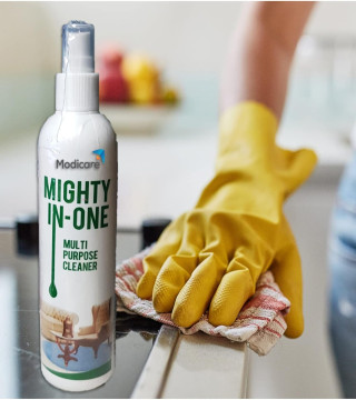 Household Supplies›Household Cleaners›All-Purpose Cleaners